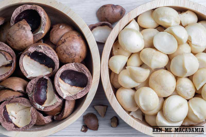 Cách tách vỏ hạt mắc ca, cách ăn hạt mắc ca , ai cũng nên biết !