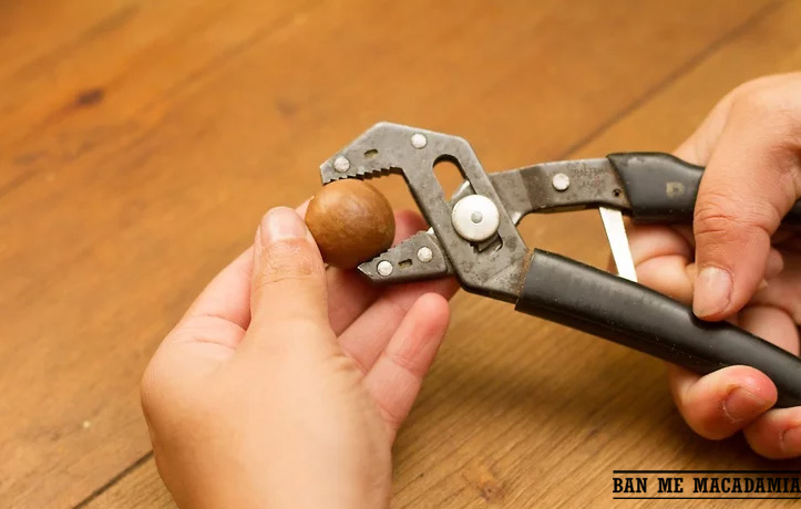 cách ăn hạt mắc ca