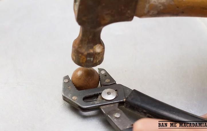 cách ăn hạt mắc ca