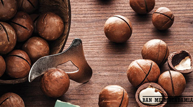 cách ăn hạt mắc ca