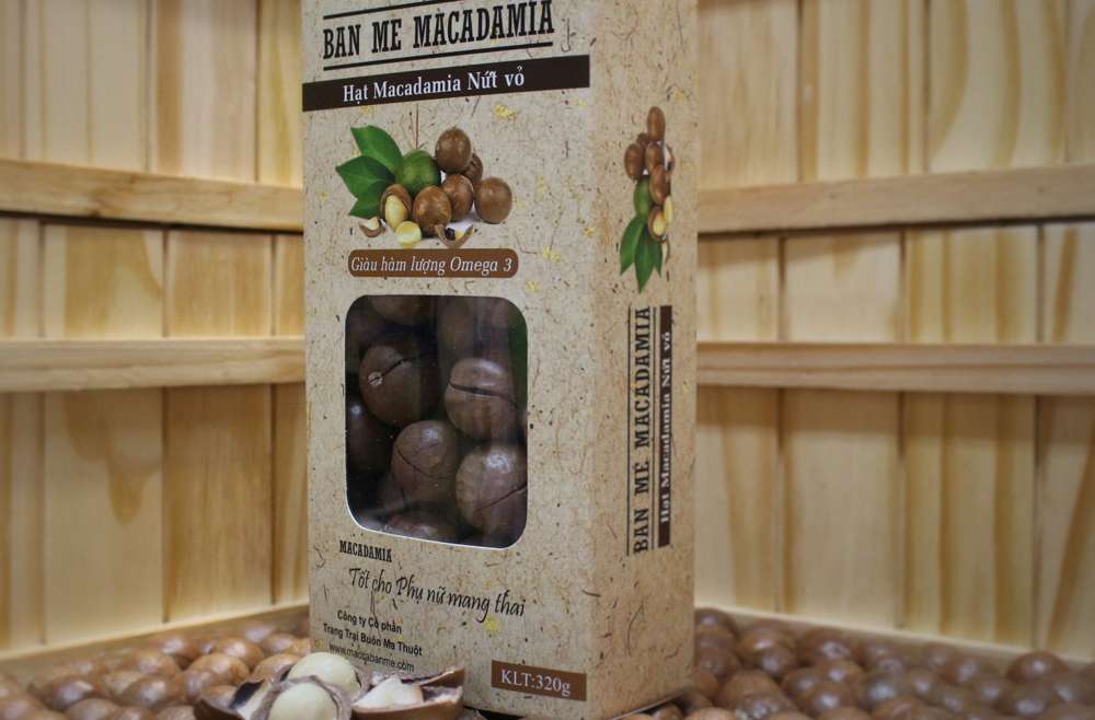 Tại sao giá hạt mắc ca không hề rẻ? Giá tại Ban Me Maccadamia bao nhiêu?