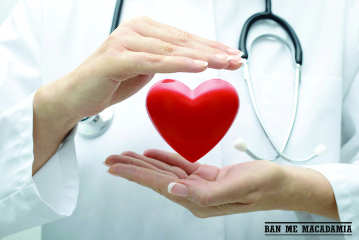 Tác dụng của hạt mắc ca : giảm nguy cơ đột quỵ vì tim mạch