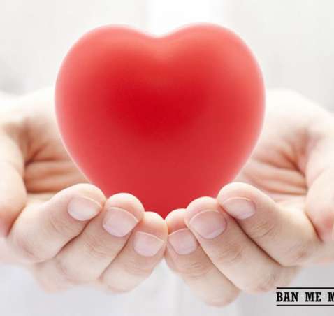 BAN ME MACADAMIA và báo điện tử 24H đồng hành cùng chương trình ” TẦM VÓC VIỆT”