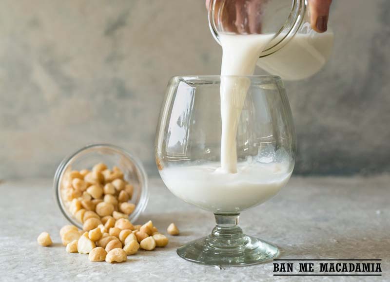 Cách làm sữa macca ngon tuyệt dành cho người ăn kiêng